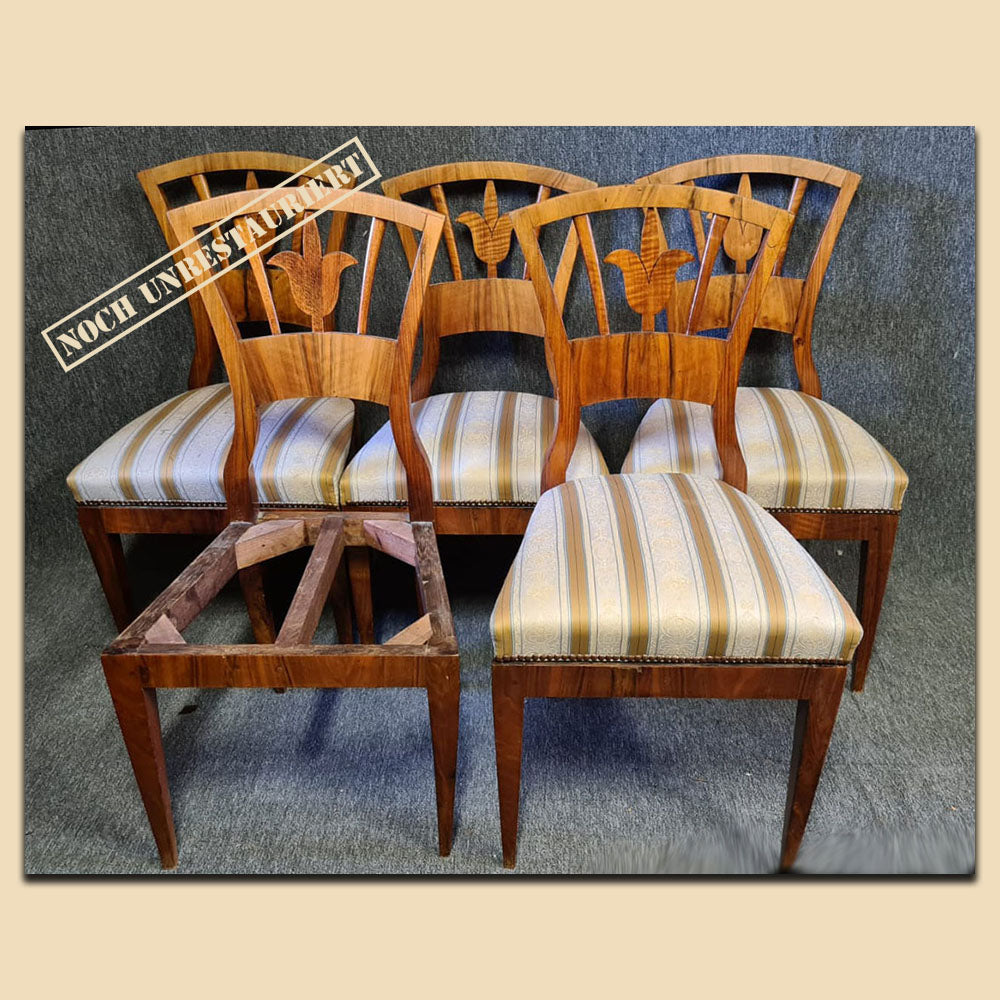 5-er Satz Biedermeier Stühle Nr. 4498, Nussbaum furniert, Österreich um 1820